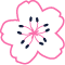 花びら